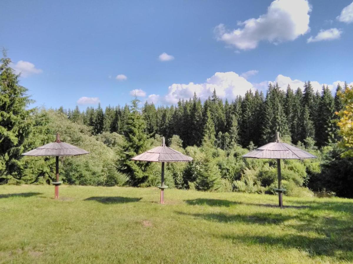 Casa Paltin Vila Si Cabane Poiana Stampei Εξωτερικό φωτογραφία