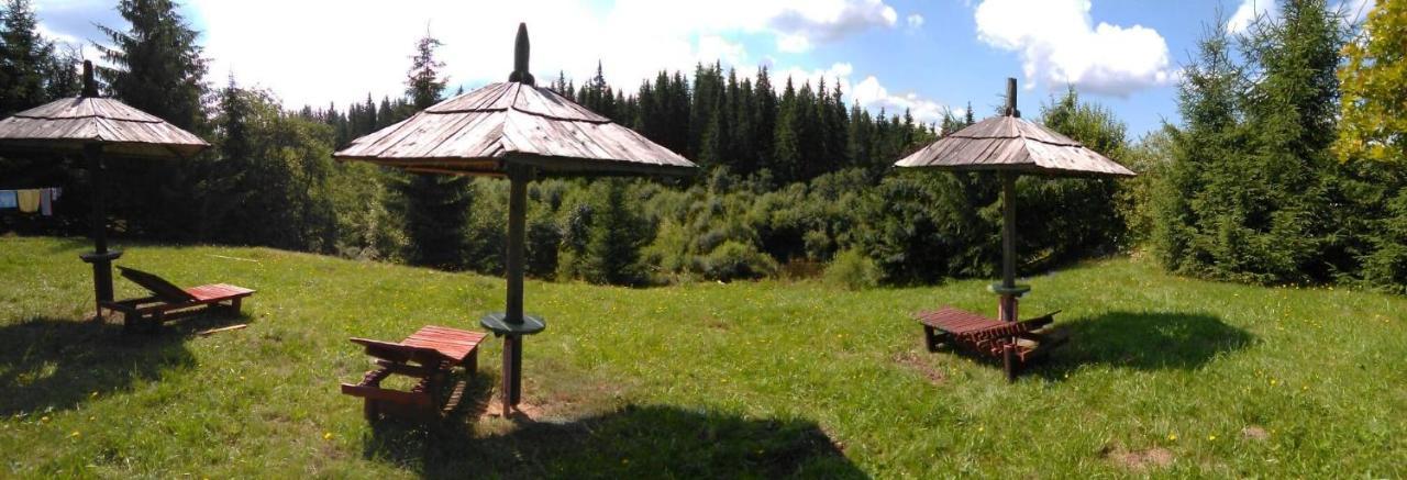 Casa Paltin Vila Si Cabane Poiana Stampei Εξωτερικό φωτογραφία