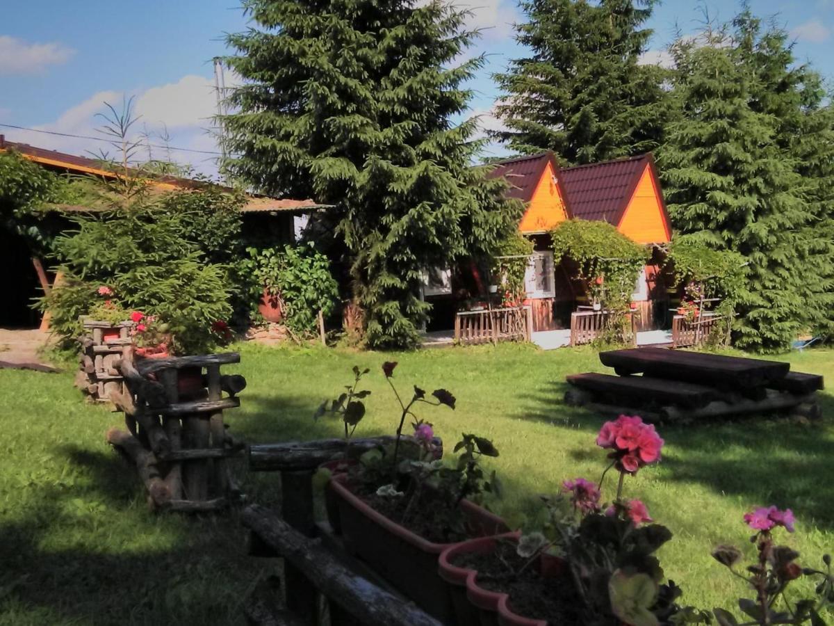 Casa Paltin Vila Si Cabane Poiana Stampei Εξωτερικό φωτογραφία