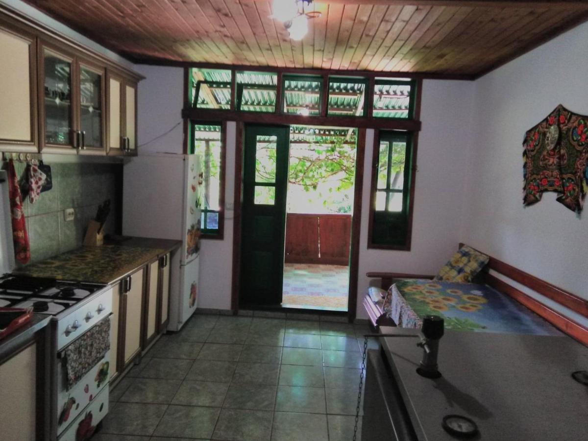 Casa Paltin Vila Si Cabane Poiana Stampei Εξωτερικό φωτογραφία