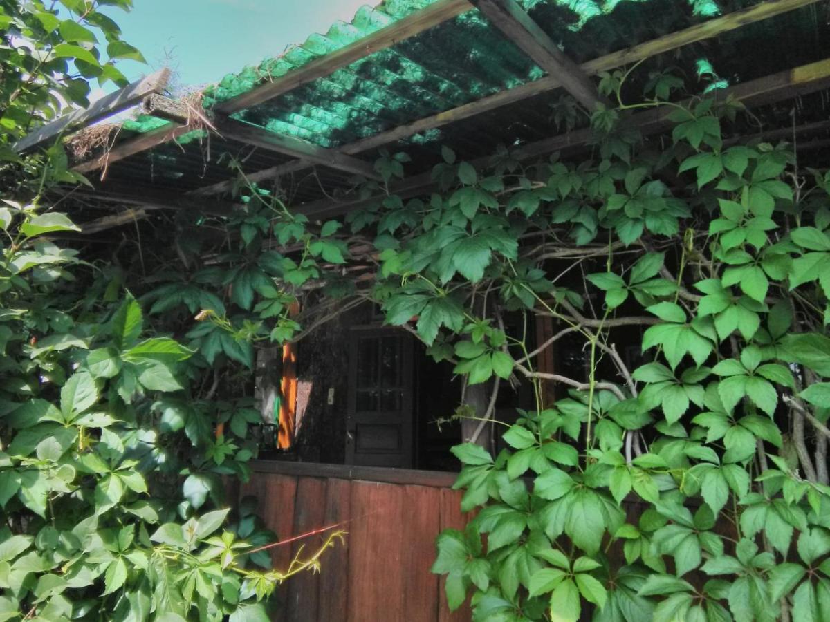 Casa Paltin Vila Si Cabane Poiana Stampei Εξωτερικό φωτογραφία