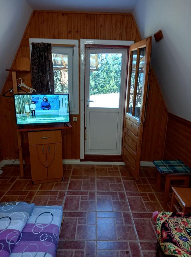 Casa Paltin Vila Si Cabane Poiana Stampei Εξωτερικό φωτογραφία