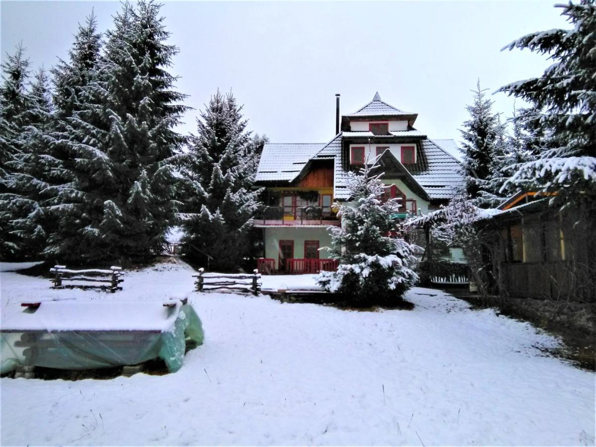 Casa Paltin Vila Si Cabane Poiana Stampei Εξωτερικό φωτογραφία