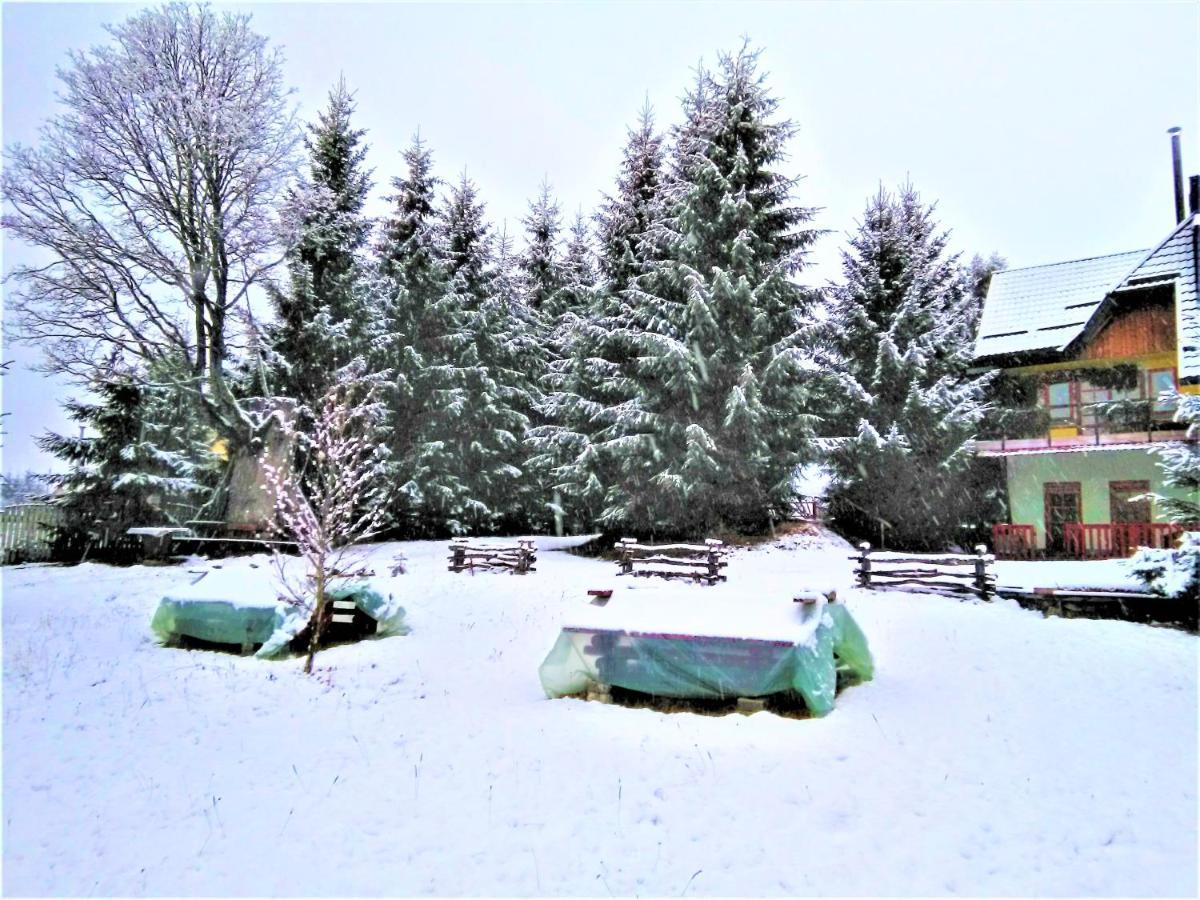 Casa Paltin Vila Si Cabane Poiana Stampei Εξωτερικό φωτογραφία