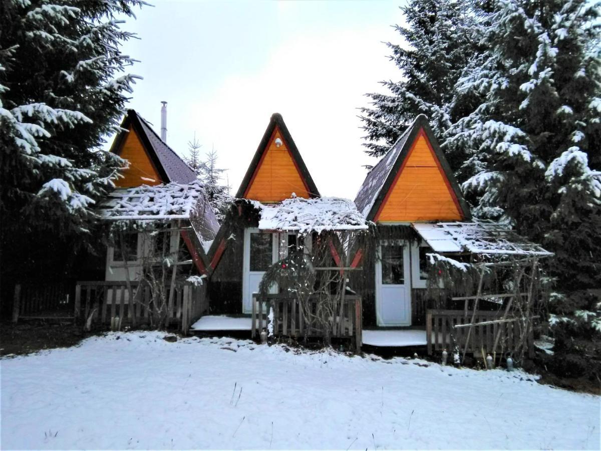 Casa Paltin Vila Si Cabane Poiana Stampei Εξωτερικό φωτογραφία