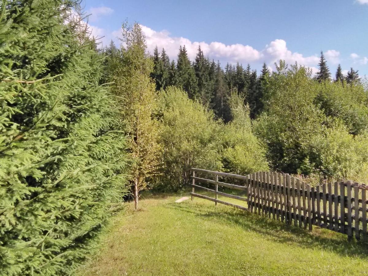 Casa Paltin Vila Si Cabane Poiana Stampei Εξωτερικό φωτογραφία