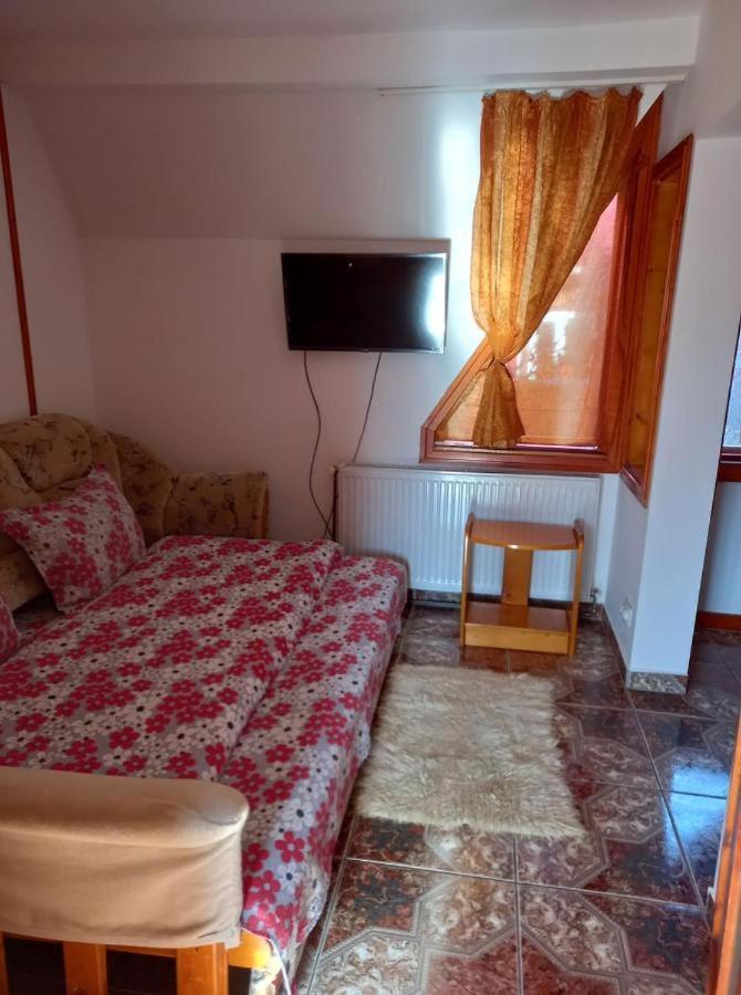 Casa Paltin Vila Si Cabane Poiana Stampei Εξωτερικό φωτογραφία